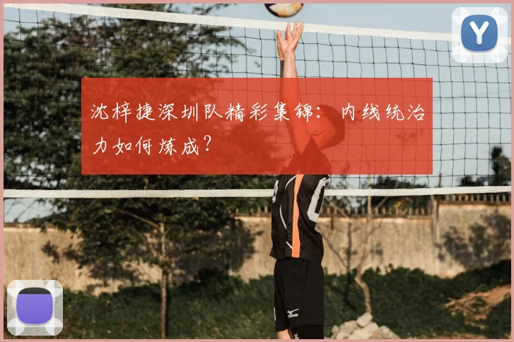 沈梓捷深圳队精彩集锦:内线统治力如何炼成?