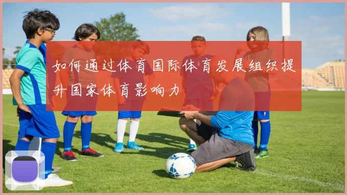 如何通过体育国际体育发展组织提升国家体育影响力