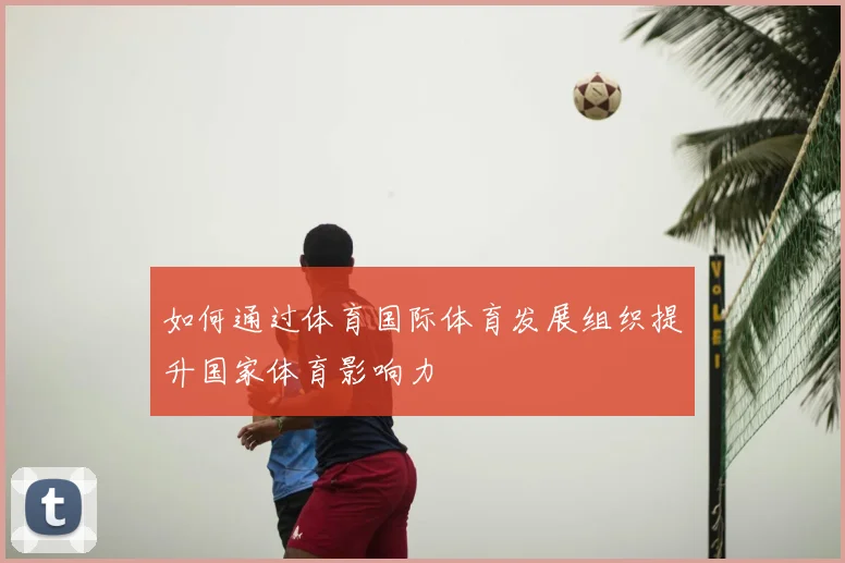 如何通过体育国际体育发展组织提升国家体育影响力
